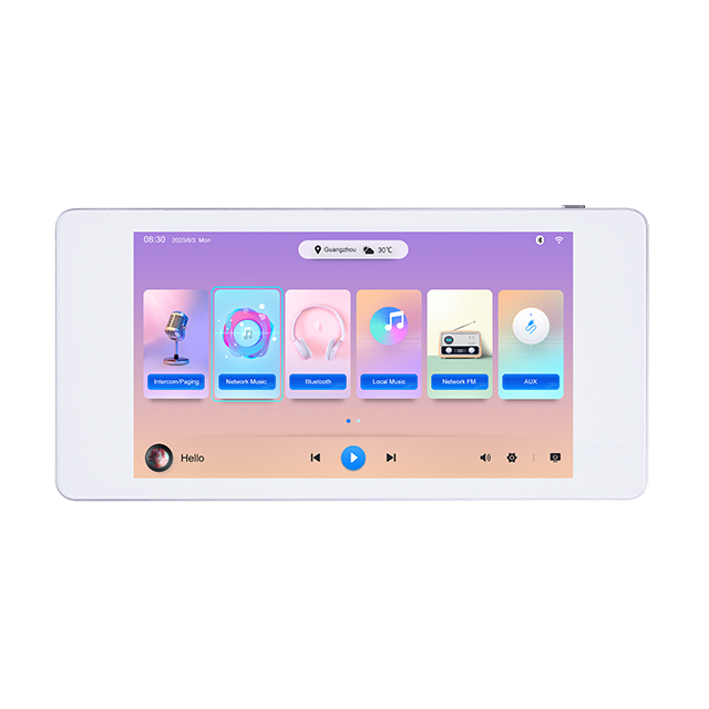 5.5 Inch 2 Channel Wall Mounte - Audio Music Lab avis et prix