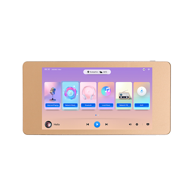 5.5 Inch 2 Channel Wall Mounte - Audio Music Lab avis et prix